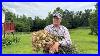 Garlic-Harvest-And-300-Utility-Back-In-Action-01-jo