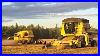 Harvesting-Peas-And-Onto-Wheat-01-alkm