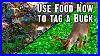 How-To-Use-Food-Now-To-Tag-A-Buck-724-01-ak